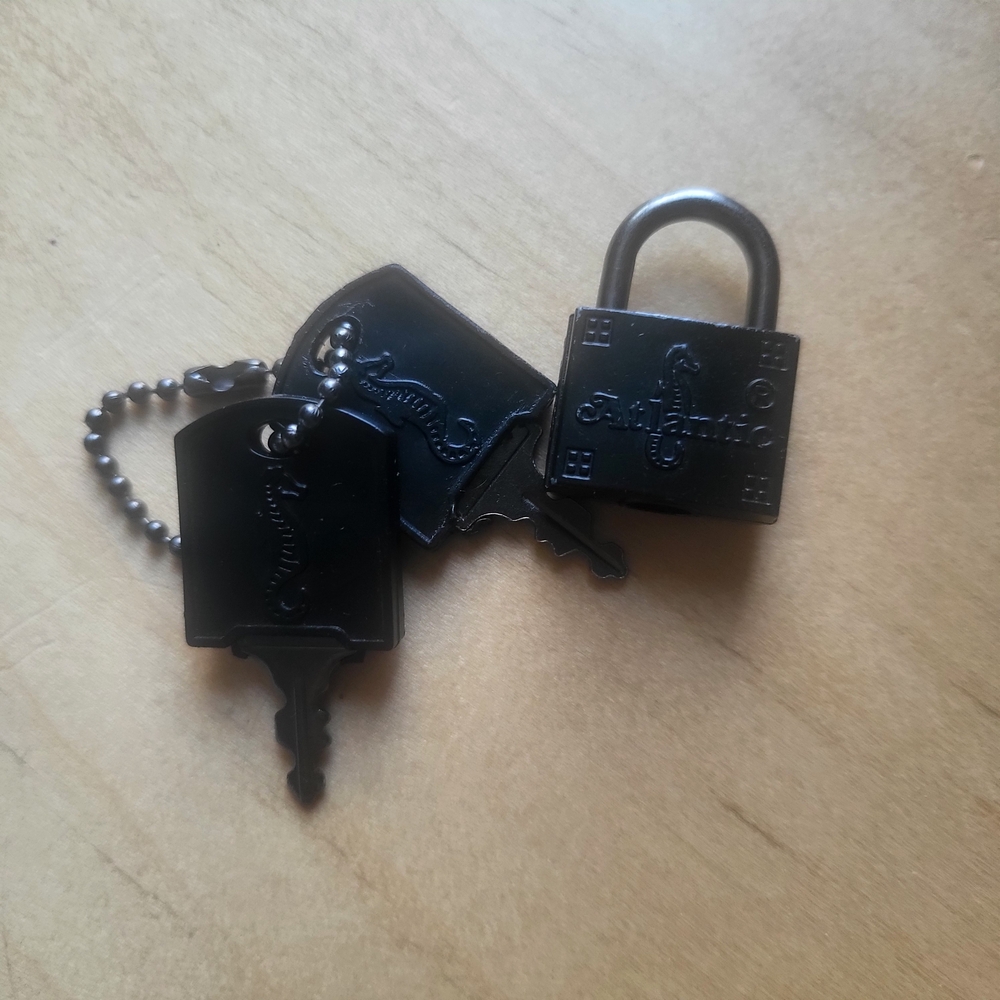 VTG Atlantic Seahorse Lock And 2 Keys.